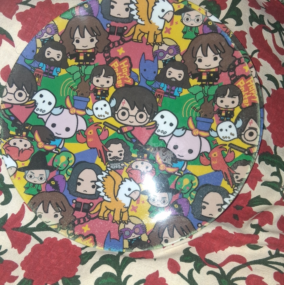 2 DELIGHTFUL MELANINE "HARRY POTTER" CHARACTERS PLATES. 10.5